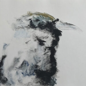 Drongo Despenteado IV